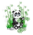 panda bamboo vector image