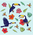 pattern with toucan flowers palm trees vector image