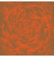 abstract rose background vector image