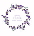 beautiful lavender wreath vector image