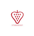 abstract design template strawberry vector image