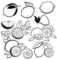 set stylized lemons collection black vector image