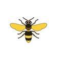 bee vector image