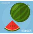 watermelon icon vector image vector image