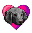 i love dogs icon design vector image vector image