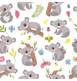 koala seamless pattern cartoon cute australian vector image