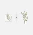 abstract plant botanical flower line art line vector image vector image