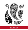 paisley motifs ink pen isolated vector image
