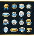 luxury labels gold and blue vector image vector image