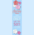 paper flowers vector image vector image
