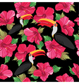 floral seamless pattern with beautiful toucans vector image