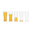 collection tall glasses with beer full and empty vector image