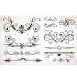 floral design elements vector image