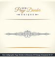 new calligraphic page dividers and elements vector image vector image