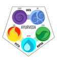 ayurveda elements and doshas icons vector image vector image