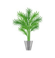 palm treehouse plant realistic icon for interior vector image