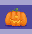 happy halloween pumpkin concept vector image vector image