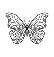 butterfly hand drawn doodle vector image