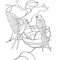 adult coloring bookpage two swallos in the nest vector image vector image