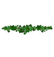 ivy leaves wreath liana green branch garland vector image