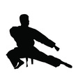 Karate fighter in kimonoaikido silhouette Vector Image