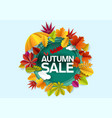 autumn sale paper cut discount label poster vector image