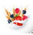 strawberry and blueberry raspberry wheat vector image