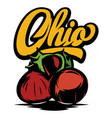 ohio calligraphic inscription with chestnut vector image vector image