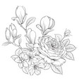 floral bouquet on white background vector image vector image