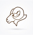 sheep big horn head ovis face vector image vector image