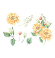 floral bunches watercolor style wedding bouquets vector image