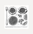 hand-drawn caviar sketches set isolated on white vector image vector image