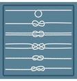 marine rope knot vector image