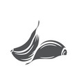 garlic glyph icon vector image