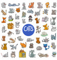 cartoon cat characters large set vector image