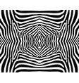 seamless zebra pattern vector image