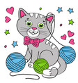 cute cat on white background vector image