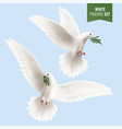 white dove realistic set vector image