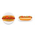 delicious hot dog on plate side and top view vector image