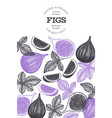 hand drawn fig fruits design template organic vector image