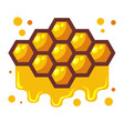 bees honeycomb with honey dripping off it cartoon vector image