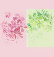 orchids - beautiful pastel colored design vector image