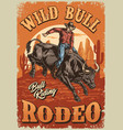 bull rodeo vintage poster colorful vector image vector image