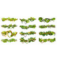 cartoon jungle tropical liana branch vines set vector image vector image