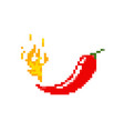 hot chilli pepper with fire vector image