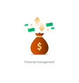 finances and investment management budget planning vector image