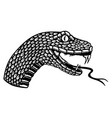head poisonous snake in engraving style design vector image vector image