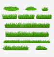 green grass media and farm field grass blades vector image