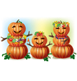 happy pumpkin family vector image vector image