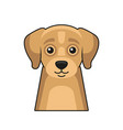 cute dog face icon cartoon style on white vector image